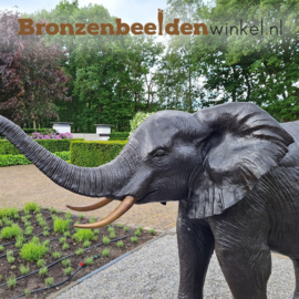 Tuinbeeld grote olifant BBW689br