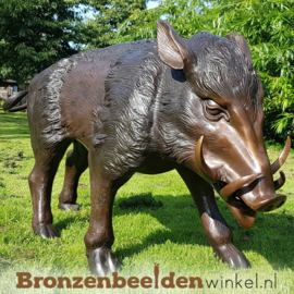 NR 10 | Kado voor jager ''Zwijn van brons'' BBW56170