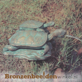 Schildpad beelden van brons BBW88183