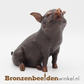 Varkensbeeldje in brons BBW9021br