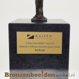 ZAKELIJK BEELDJE IN OPDRACHT KAIZEN INSTITUTE