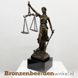 Beeldje advocaat - Meester in de Rechten BBW008br10S