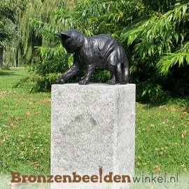 Blijvende herinnering spelende kat met bal BBW1354br