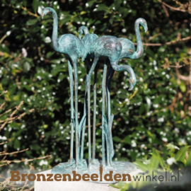 Beeld flamingo's BBW1512br