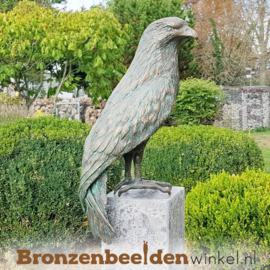 Bronzen rode wouw havik beeld BBWR88758