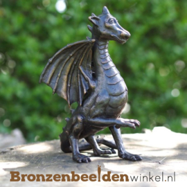 Drakenbeeldje van brons BBW1403br
