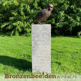 NR 10 | Cadeau man 55 jaar ''Bronzen uil'' BBW2213