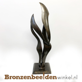 NR 6 | 7 jaar getrouwd cadeau  "Verbondenheid" BBW2235br