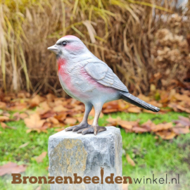 Bronzen barmsijs vogel BBWF6531fa04