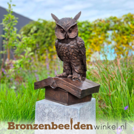 Beeld uil op boek in brons BBW94533br