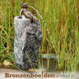 NR 10 | Bronzen beeld Tilburg ''Waterornamentje grappige kikker'' BBWR88737
