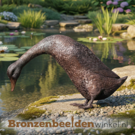 Bronzen eend met lange nek BBW1516br