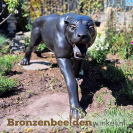 Dieren tuinbeeld zwarte panter BBW1484