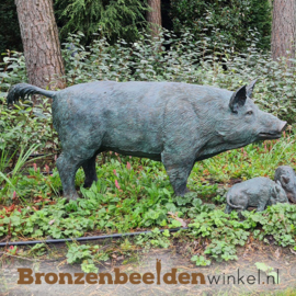 Tuinbeeld varken in brons BBWR88457