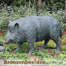 Tuinbeeld zwijn in brons BBWR88458