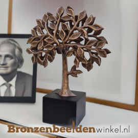 Beeldje voor as "Levensboom" BBWP36790as