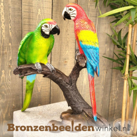Bronzen papegaai beeld BBW1436br