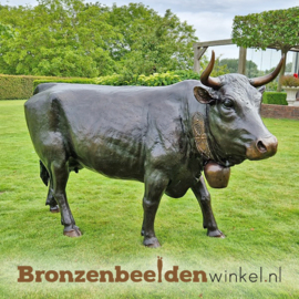 Groot koeien beeld in brons BBW47346