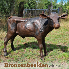 Beeld kalfje in brons BBW47204