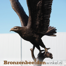 Beeld vliegende zeearend in brons BBW1338br