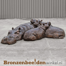 Grappig dierenbeeld nijlpaarden BBW47207