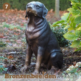 NR 7 | Cadeau hondenliefhebber ''Rottweiler'' BBW1174