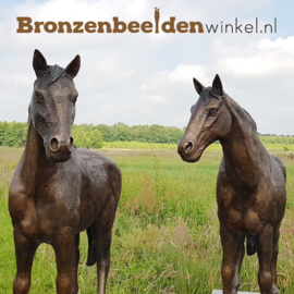 Twee bronzen paarden beelden BBW1309