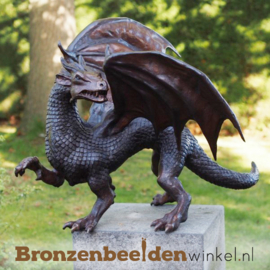 Drakenbeeld in brons BBW91190br