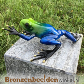 Beeld blauwe regenwoudkikker BBW0983br