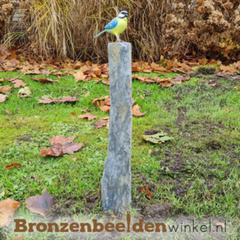 Bronzen pimpelmees vogel BBWF6530fa03