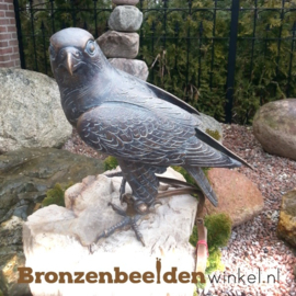 Bronzen beeld valk BBW78100