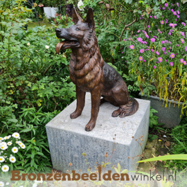 Gedenksteen hond "Herdershond" BBW56814gd