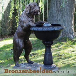 Fontein beeld met hond BBW1435br