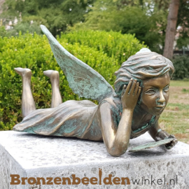 Tuinbeeld lezende fee BBWR89052