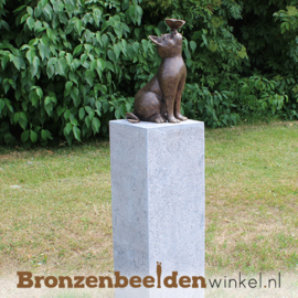 Bronzen beeld kat met vlinder BBW1905br