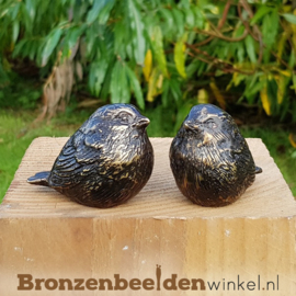 NR 11 | Twee kleine winterkoninkjes BBW0405br