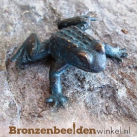 Bronzen kikkers