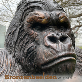 Bronzen gorilla "King Kong" BBWB55870