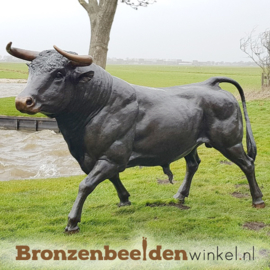 Levensgrote bronzen stier beeld BBW76345