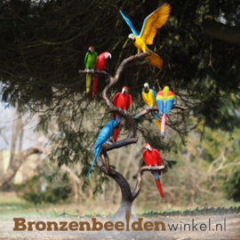 Beeld papegaaien in diverse bronzen patineringen BBW1486-c
