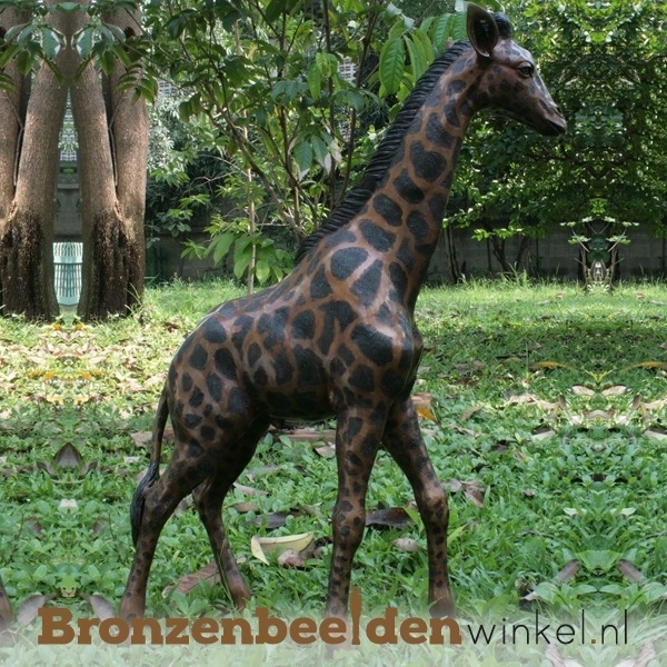 Groot giraffe beeld in brons BBWB860