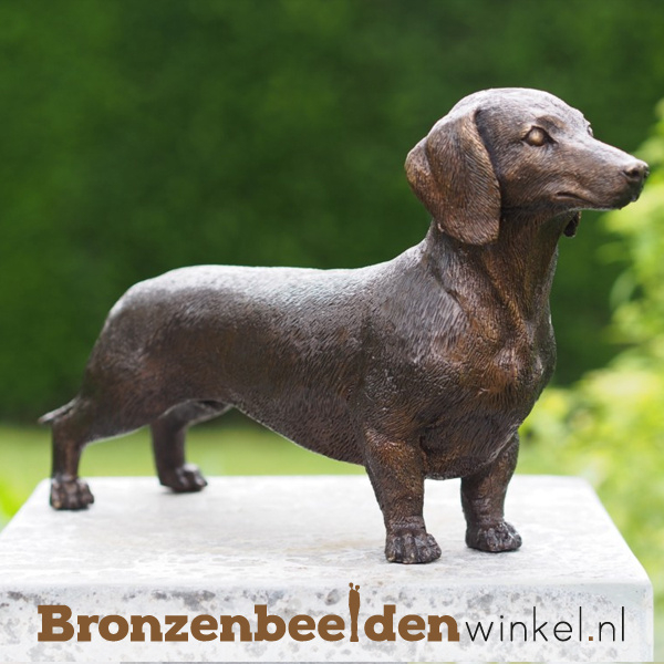 Beeld Teckel brons BS1387br (Met of zonder sokkel: Zonder sokkel,Montage en plaatsing: Zonder montage en plaatsing,Met GRATIS onderhoudsset t.w.v. € 24,95: Ja, graag!) | Bronzen honden | Bronzen Winkel