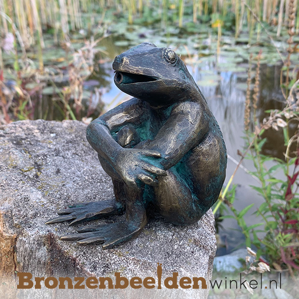 tandarts Vlekkeloos Tegenslag ᐅ • Bronzen kikker beelden | Beeld kikker kopen van brons