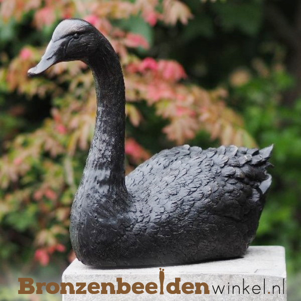 Voorloper gedragen kever Zwaan beeld in brons BBW1344br (Met GRATIS onderhoudsset t.w.v. € 24,95:  Ja, graag!) | Bronzen zwanen | Bronzen Beelden Winkel