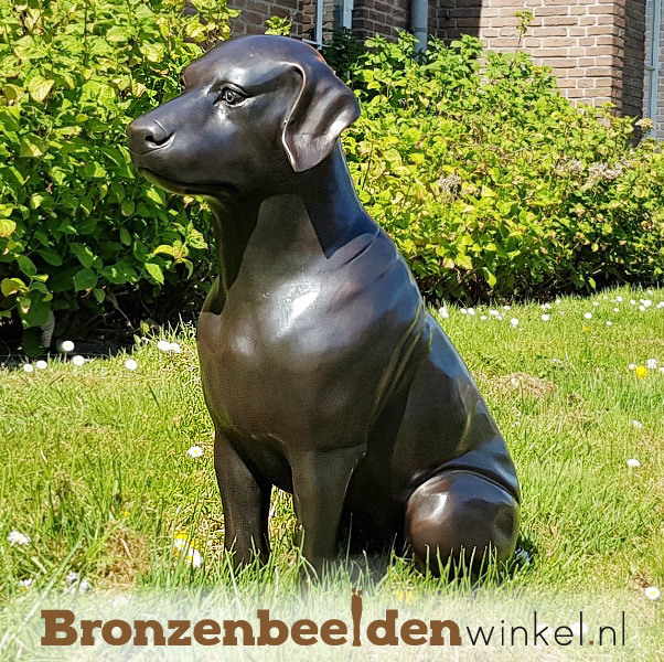 beha Aannemelijk long Beeld hond brons bestellen | Bronzen hondenbeeld huis & tuin