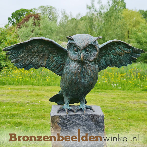 Heel bolvormig corruptie ᐅ • Bronzen uilen beelden | Beeld uil kopen van brons voor de tuin