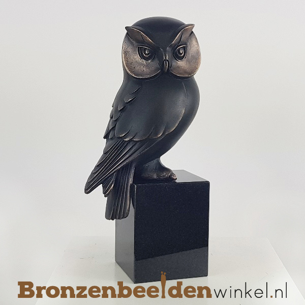 Herkenning vis Beeldhouwer ᐅ • Bronzen uilen beelden | Beeld uil kopen van brons voor de tuin