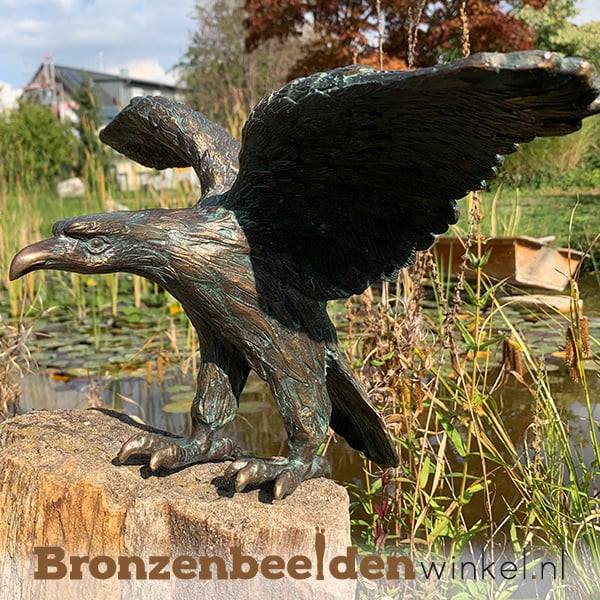 toevoegen Overeenstemming Uil ᐅ Adelaar beeld kopen van brons | Bronzen tuinbeeld adelaar
