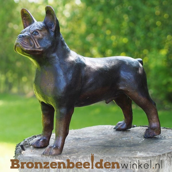 Franse Bulldog beeld van brons BBW94566 (Met of zonder Hardstenen sokkel (40x40x40 cm): Zonder sokkel,Montage en plaatsing: Zonder montage en plaatsing,Met GRATIS onderhoudsset t.w.v. 24,95: Ja, graag!) | Bronzen honden
