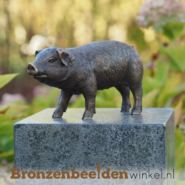 Bronzen beeld varken BBW1170